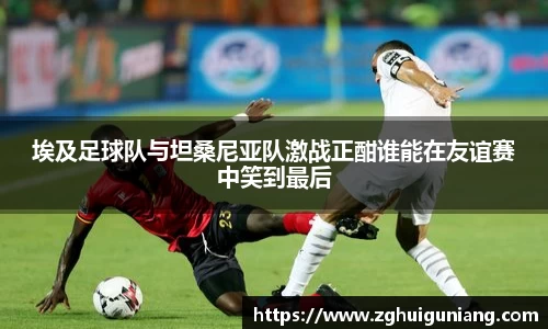 埃及足球队与坦桑尼亚队激战正酣谁能在友谊赛中笑到最后