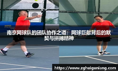 zoty中欧体育官网