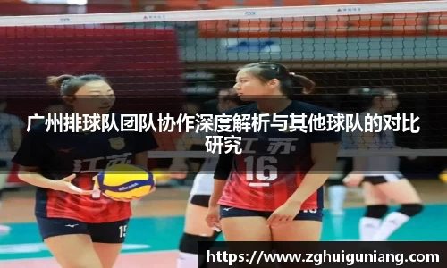 zoty中欧体育官网