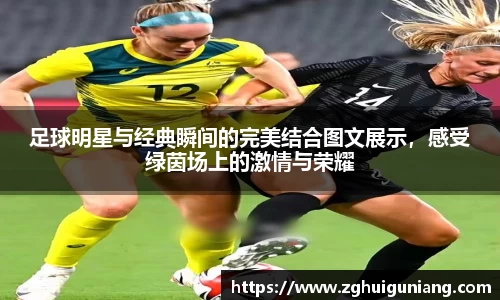 zoty中欧体育官方网站