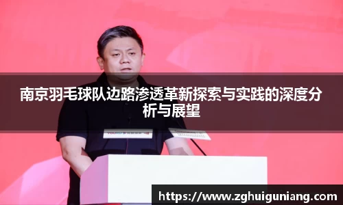 南京羽毛球队边路渗透革新探索与实践的深度分析与展望